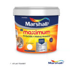 Marshall-Maximum-Su-Bazlı-Silikonlu-İpet-Mat-Boya
